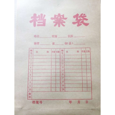 檔案袋 175g側(cè)寬4cm 標(biāo)書(shū)合同文件資料袋 