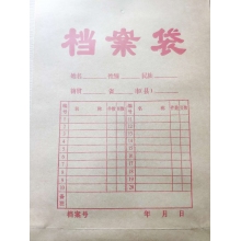 檔案袋 175g側(cè)寬4cm 標(biāo)書(shū)合同文件資料袋 